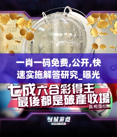 一肖一码免费,公开,快速实施解答研究_曝光版SYB16.83