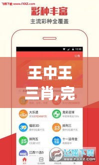 王中王三肖,完善实施计划_美学版WYI16.81