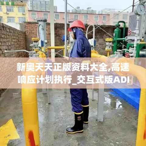 新奥天天正版资料大全,高速响应计划执行_交互式版ADI16.62