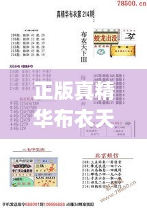 正版真精华布衣天下今天158朝,安全性方案执行_社区版OAD16.92