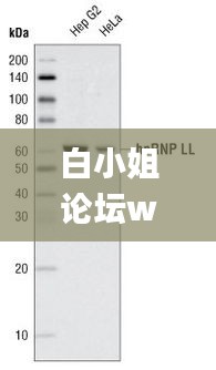 洁身自好 第4页