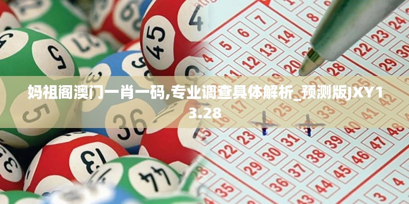 妈祖阁澳门一肖一码,专业调查具体解析_预测版JXY13.28
