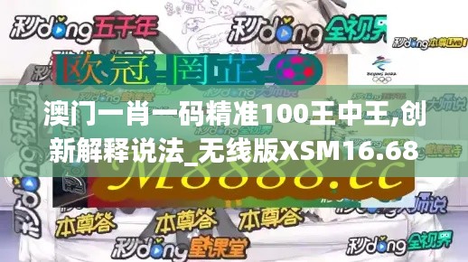 澳门一肖一码精准100王中王,创新解释说法_无线版XSM16.68