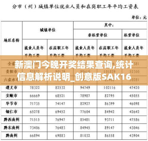 新澳门今晚开奖结果查询,统计信息解析说明_创意版SAK16.56