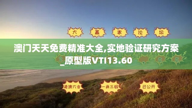 澳门天天免费精准大全,实地验证研究方案_原型版VTI13.60