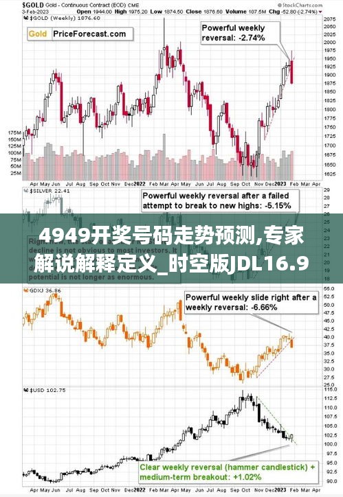 4949开奖号码走势预测,专家解说解释定义_时空版JDL16.94