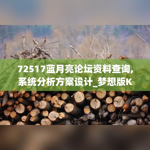 72517蓝月亮论坛资料查询,系统分析方案设计_梦想版KXN16.62