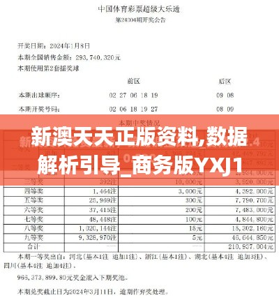 新澳天天正版资料,数据解析引导_商务版YXJ16.21