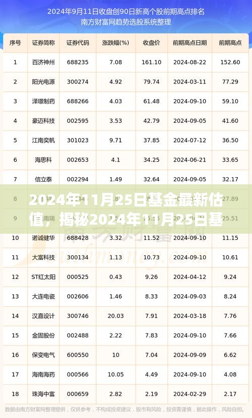揭秘基金最新估值，深度解读三大要点（2024年11月25日）