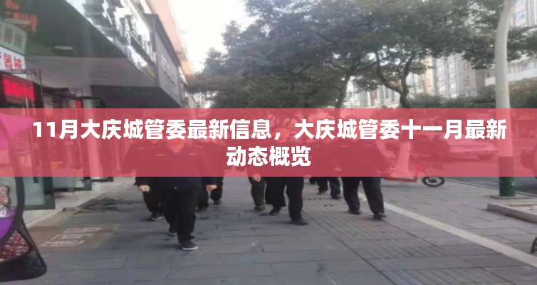 大庆城管委十一月最新动态概览，最新信息一览无余