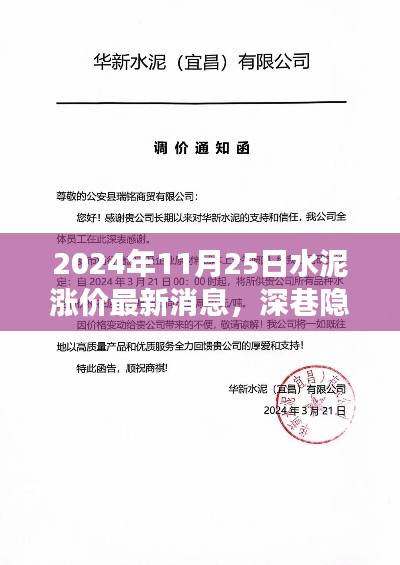 深巷隐香，水泥涨价背后的独特小店故事，最新消息发布于2024年11月25日