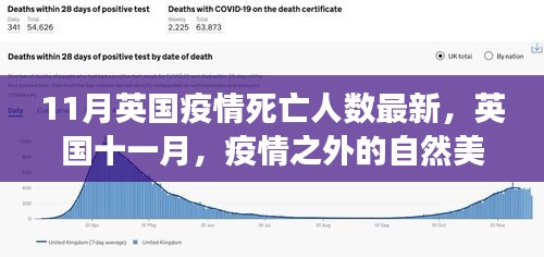 11月英国疫情死亡人数最新，英国十一月，疫情之外的自然美景之旅，寻找内心的宁静与生命的奇迹