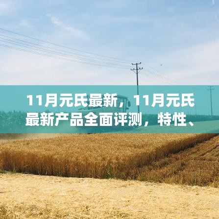 寒蝉僵鸟 第3页