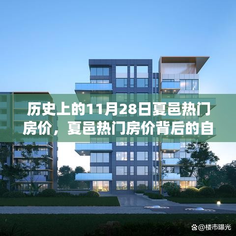 飞箭如蝗 第5页