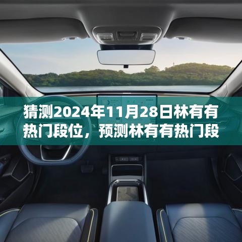 揭秘林有有热门段位，特性、体验、竞品对比与用户分析预测报告（2024年11月版）