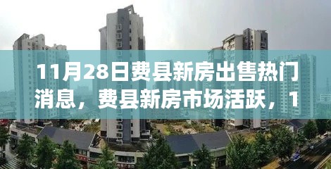 11月28日费县新房市场活跃，最新房源信息解析与热门出售消息