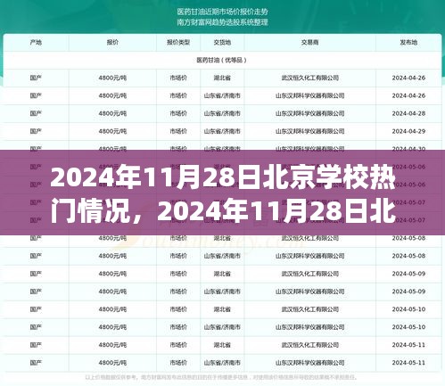 2024年11月28日北京学校热门课程报名全攻略，初学者与进阶者的入学指南