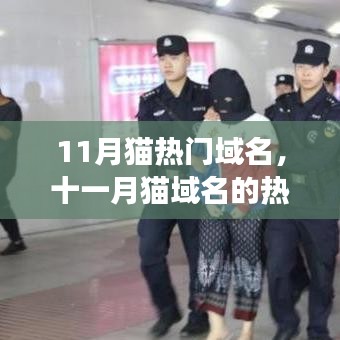 品牌故事 第529页