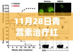 青蒿素治疗红斑狼疮最新进展，11月28日科学突破