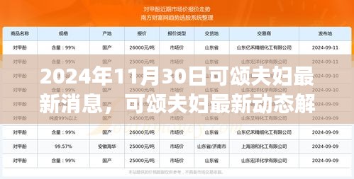 独家解析，可颂夫妇最新动态与观点洞察（2024年11月30日更新）