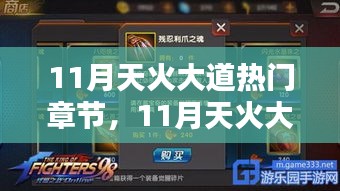 深度解析某某观点，揭秘天火大道热门章节十一月精彩内容