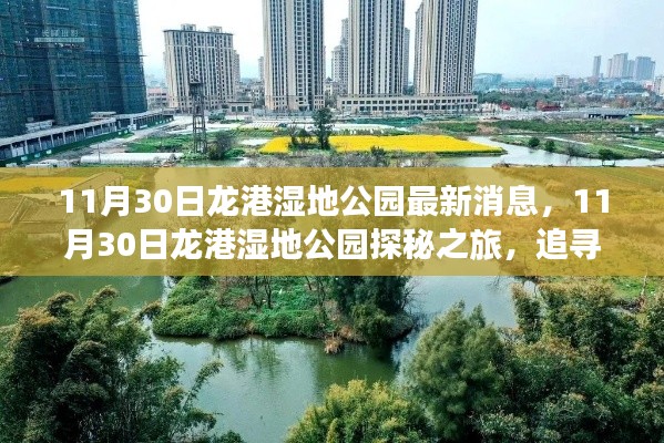 高鸟尽良弓藏 第4页