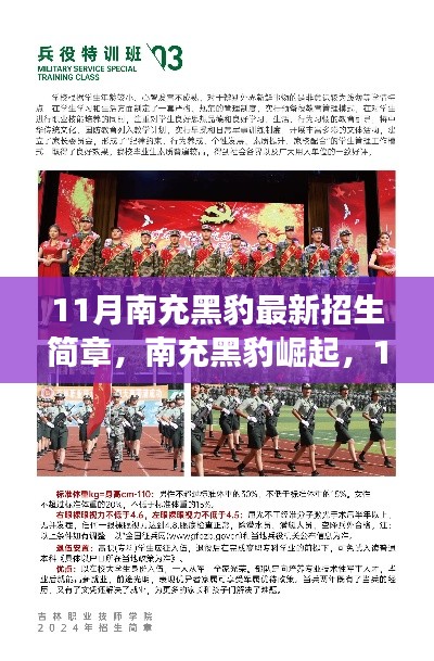 虫言鸟迹 第3页