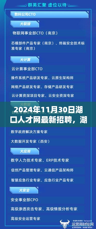 湖口人才网全新科技招聘启动，智能招聘之旅，未来职场之选（2024年11月30日）