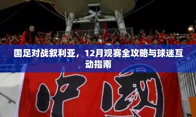 国足对战叙利亚，12月观赛指南与球迷互动攻略
