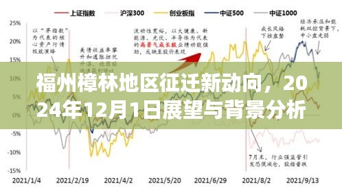 福州樟林地区征迁新动向展望与背景分析，2024年12月1日展望揭秘