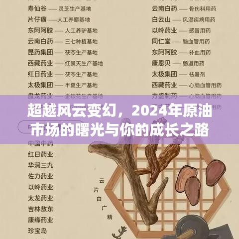 超越风云变幻，2024年原油市场的曙光与成长之路探索