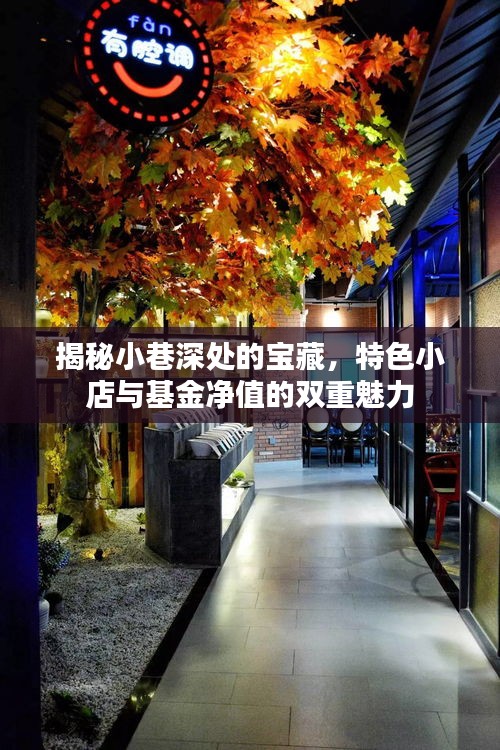 小巷深处的宝藏与基金净值，特色小店与双重魅力的探寻