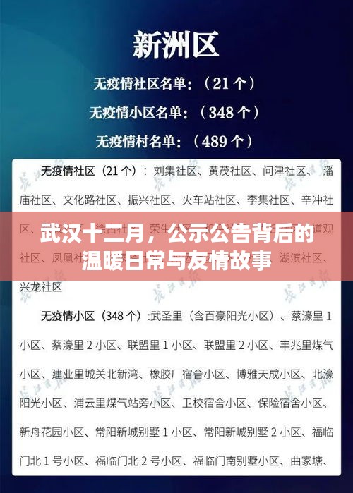 武汉十二月，公示公告背后的温暖日常与友情绽放