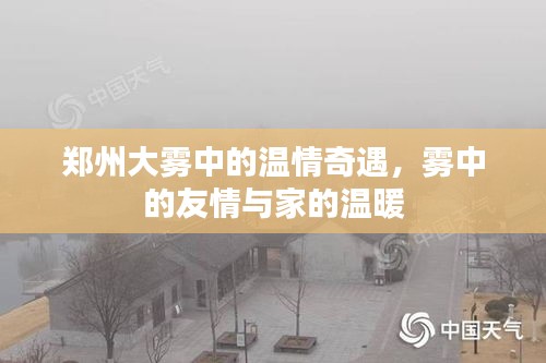 郑州雾中的温情奇遇，友情与家的温暖