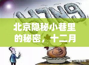 北京隐秘小巷的奇遇，十二月首日的独特病例与风味小店的秘密