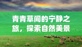 青青草间的探索之旅，自然美景中的内心平静寻找记