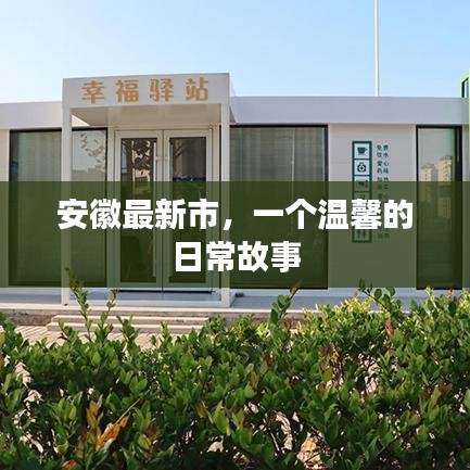 安徽最新市，温馨日常故事