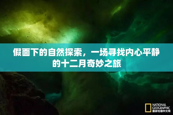 假面下的探索与内心平静的追寻，十二月奇妙之旅