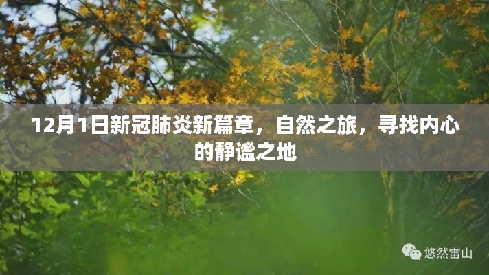 12月1日新冠肺炎新篇章，自然之旅的心灵静谧之地