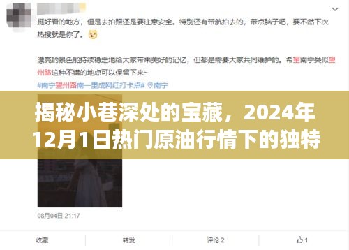 宝藏小店之旅，探寻原油行情下的独特小巷店铺（2024年12月1日）