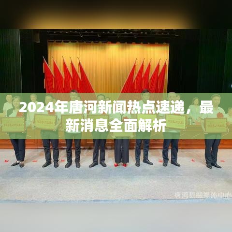 2024年唐河新闻热点速递，全面解析最新消息