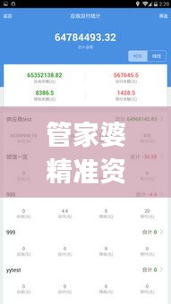 管家婆精准资料免费大全香港335期,高效计划实施_PVB42.803定制版
