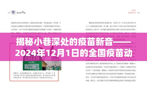 揭秘隐藏小巷的特色疫苗店，全国疫苗动态与奇遇纪实（2024年12月）