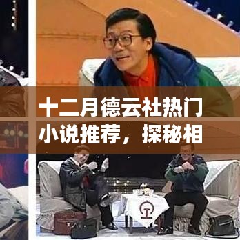 探秘相声背后的故事，十二月德云社热门小说推荐