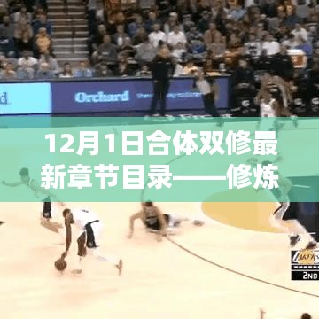 修炼进阶之路的探索，合体双修最新章节目录