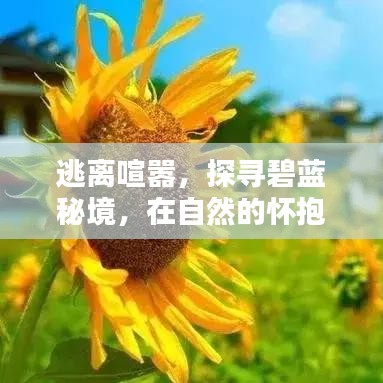 探寻秘境，在自然怀抱中找寻内心平静与力量之旅