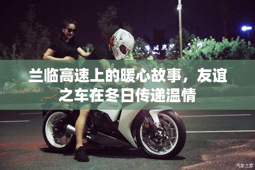罗含梦鸟 第4页