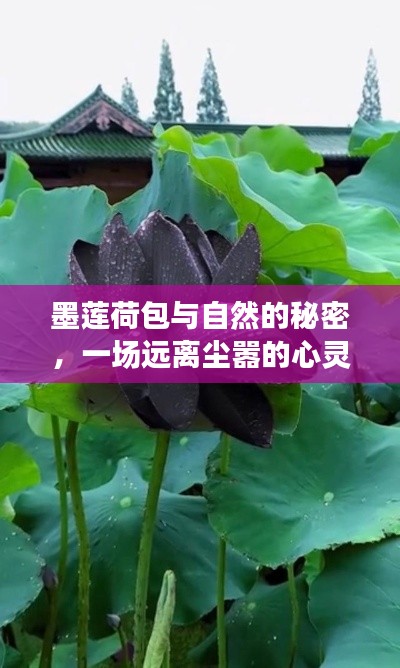 时尚资讯 第582页