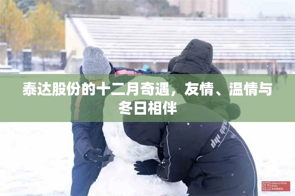 泰达股份十二月，友情、温情与冬日的相伴之旅