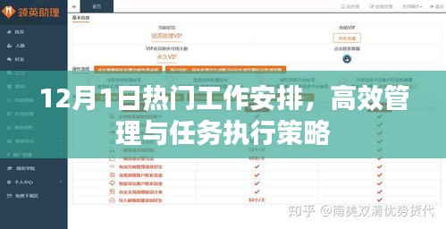 12月1日工作规划，高效管理任务与执行策略